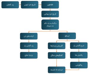 ترتیب پیشنهادی برای خواندن کتابهای فلسفه