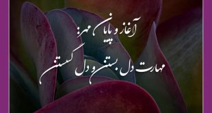 کارگاه حضوری زروان - دکتر شروین وکیلی
